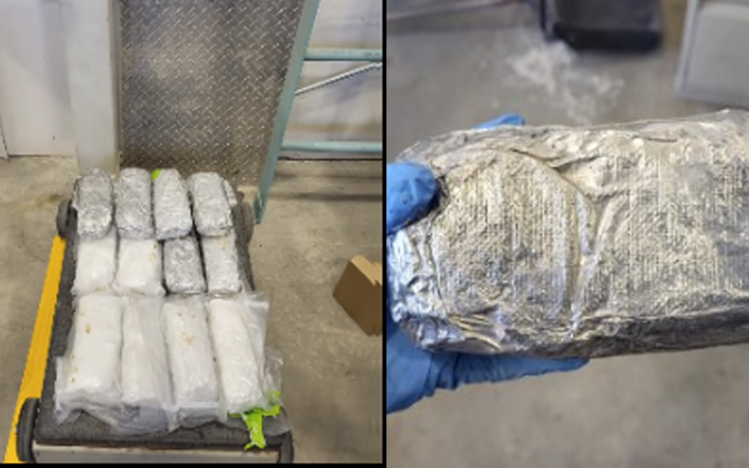 Incautación de Metanfetamina: 24 Libras Aprehendidas en el Puerto de Entrada de Santa Teresa