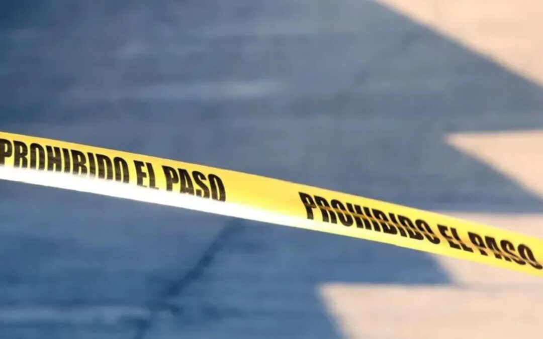 Tragedia en Salvatierra: Perros atacan y provocan la muerte de un hombre en San Pedro de los Naranjos