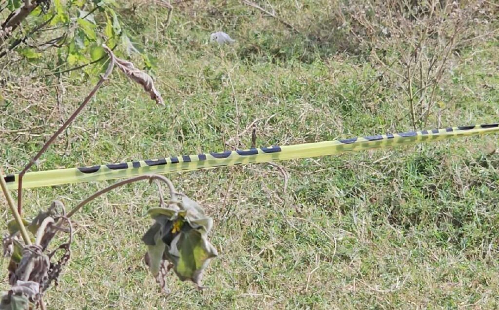 Descubren Restos Humanos en una Fosa Clandestina en Tlajomulco