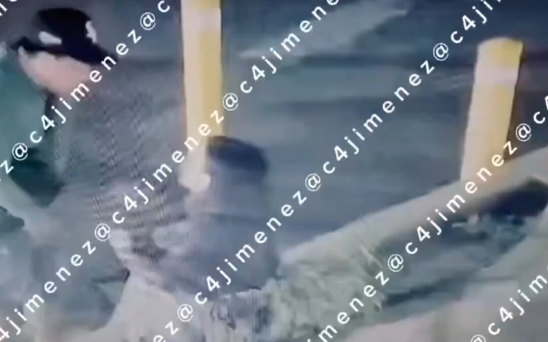 Agresión doméstica en Sacramento: Policía federal amenaza a su novia con arma