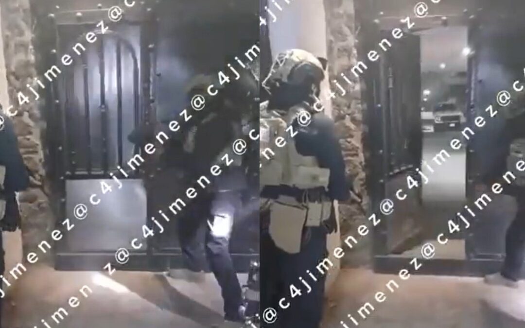 Xochimilco: Nacen Perritos Durante Operativo Contra el Cártel de Sinaloa